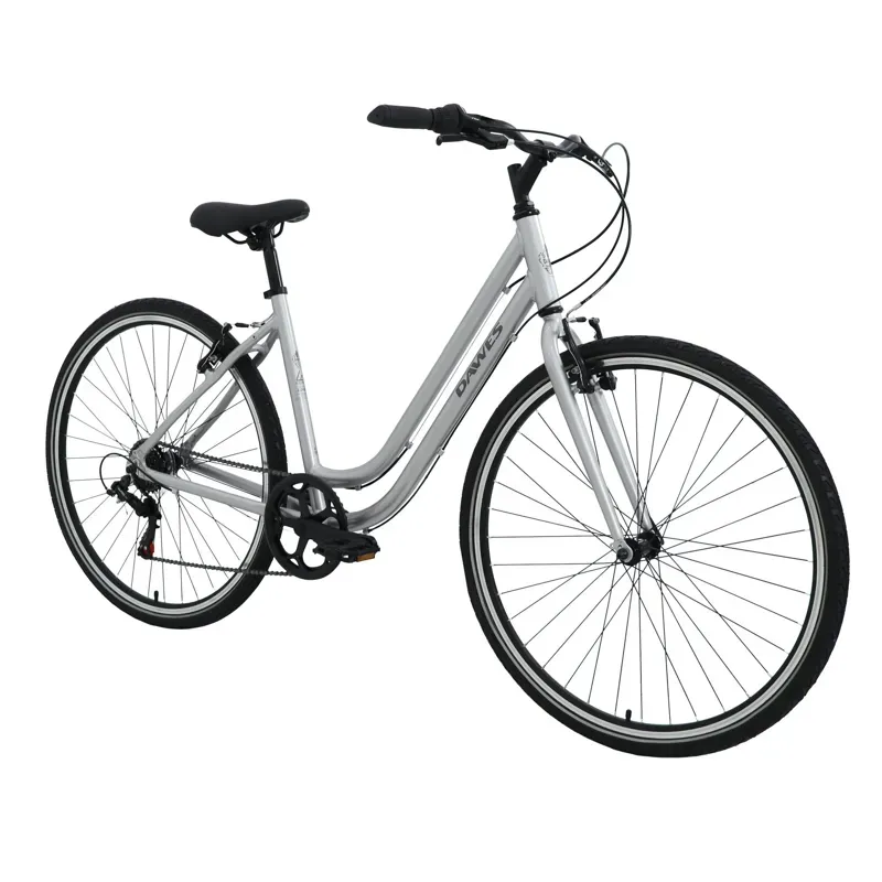Dawes Venture 1.0 Low Step Hybrid Bike in Silver-6