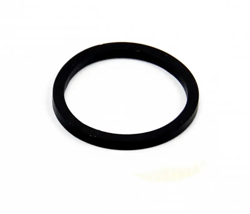 Hope X2 Caliper Piston Seal