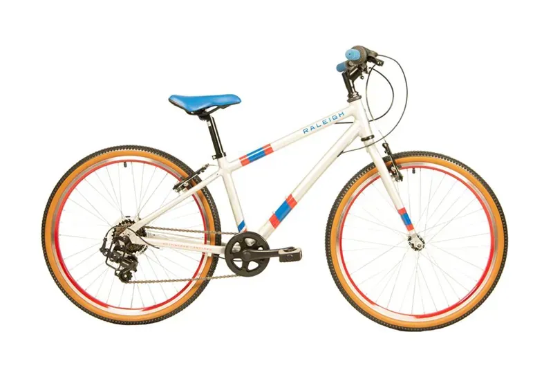 2020 Raleigh Pop 24 Kids Bike in Silver