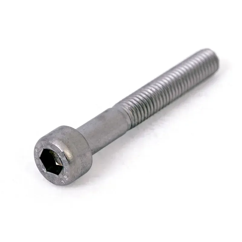 ID Socket Cap Bolts in Silver-2