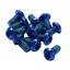 Reverse Disc Rotor M5x10 Bolts in Blue