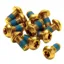 Reverse Disc Rotor M5x10 Bolts in Gold