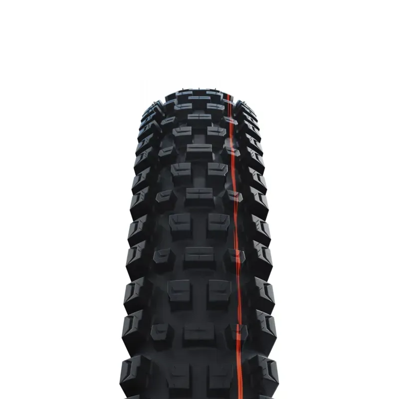 Schwalbe Albert Gravity Pro Radial Soft MTB Tyre In (fold) BLACK 2-1
